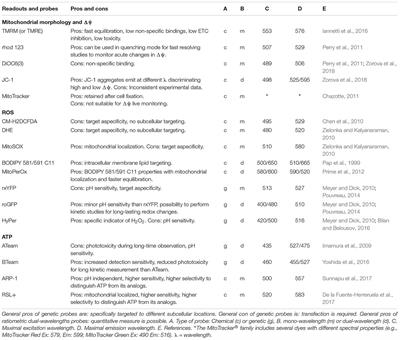 Live-Imaging Readouts and Cell Models for Phenotypic Profiling of Mitochondrial Function